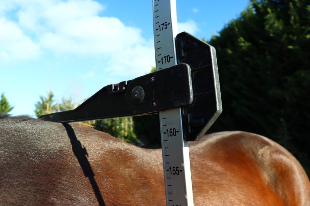 682cd4a8f047b scaled 8