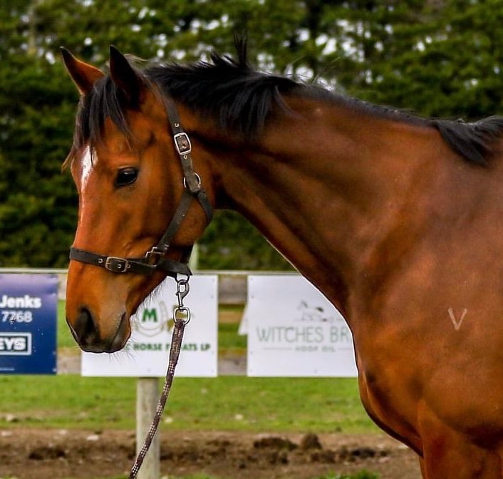 6834a894e52aa 2